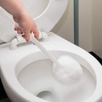 Acs Bowl Brush