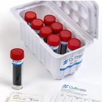 MEDIA, TSA CONTACT GLOVED FINGERTIP/SURFACE TESTING (10/BX)