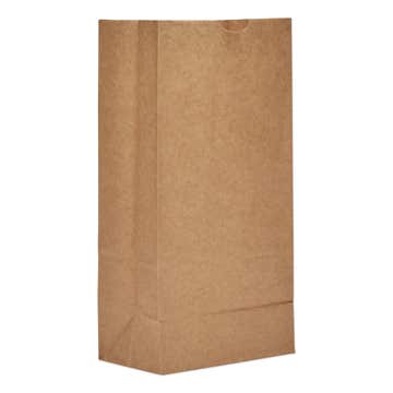 BAG, PAPER HD #8 (500/PK)